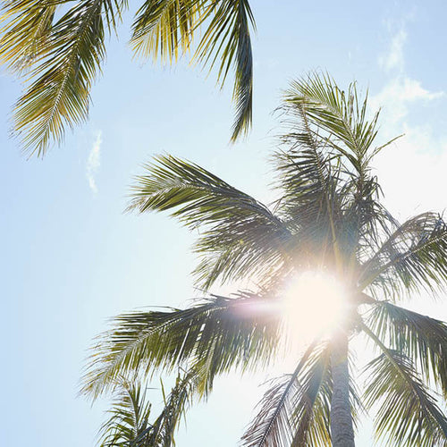 Behind The Scenes: Whitsundays Shoot